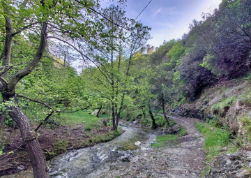 Tempo di sentieri…